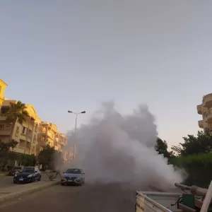 «الشروق» تطلق حملة موسعة لمكافحة الحشرات تشمل أحياء جديدة 55 - جريدة المساء