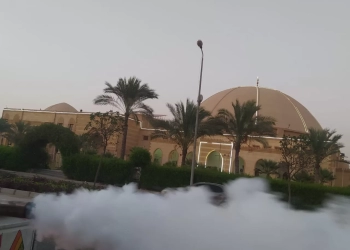 بالصور.. الشروق تواصل حملات مكافحة الحشرات ورفع النظافة 21 - جريدة المساء