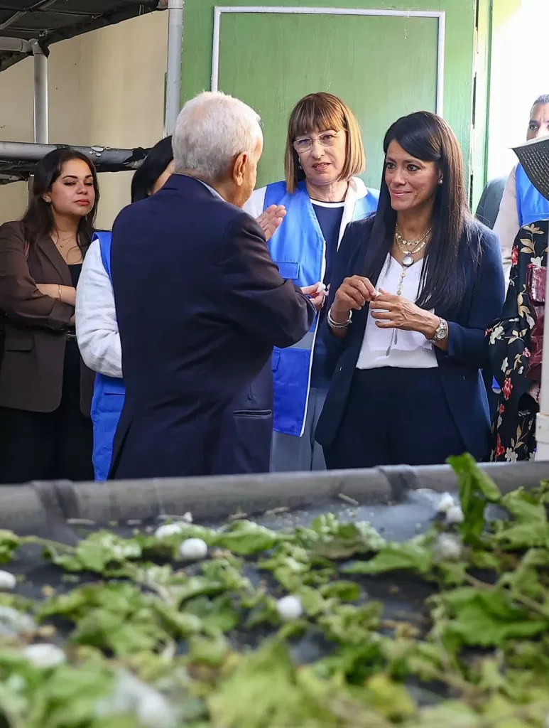 ﻿وزيرة التخطيط تضع حجر الأساس لمصنع إنتاج الحرير الطبيعي بقنا ، تفاصيل 25 - جريدة المساء