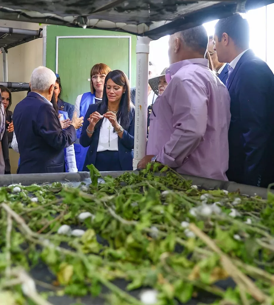 ﻿وزيرة التخطيط تضع حجر الأساس لمصنع إنتاج الحرير الطبيعي بقنا ، تفاصيل 27 - جريدة المساء