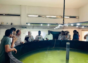 جهاز تنميه البحيرات : الوفد الغانى ينهي البرنامج التدريبي بمزرعة الزاوية 18 - جريدة المساء