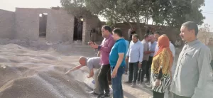 ضبط 3 منشآت غير مرخصة لإنتاج الأسمدة المغشوشة بالصف: تخلط المواد المحجرية بالكيماويات 25 - جريدة المساء