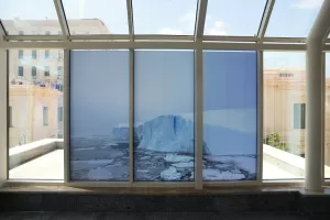 افتتاح معرض "حدوته مدينتين" تحت في المتحف اليوناني–الروماني بالإسكندرية 23 - جريدة المساء