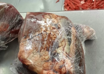 "الزراعة": ضبط 372 طن لحوم ودواجن وأسماك غير صالحة للاستهلاك.. خلال شهر 21 - جريدة المساء