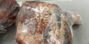 "الزراعة": ضبط 372 طن لحوم ودواجن وأسماك غير صالحة للاستهلاك.. خلال شهر 1 - جريدة المساء