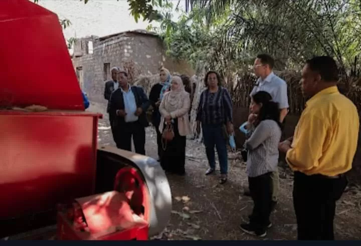 من قش الأرض إلى ذهب أخضر.. مشروع يحوّل مخلفات قنا لثروة مستدامة 46 - جريدة المساء