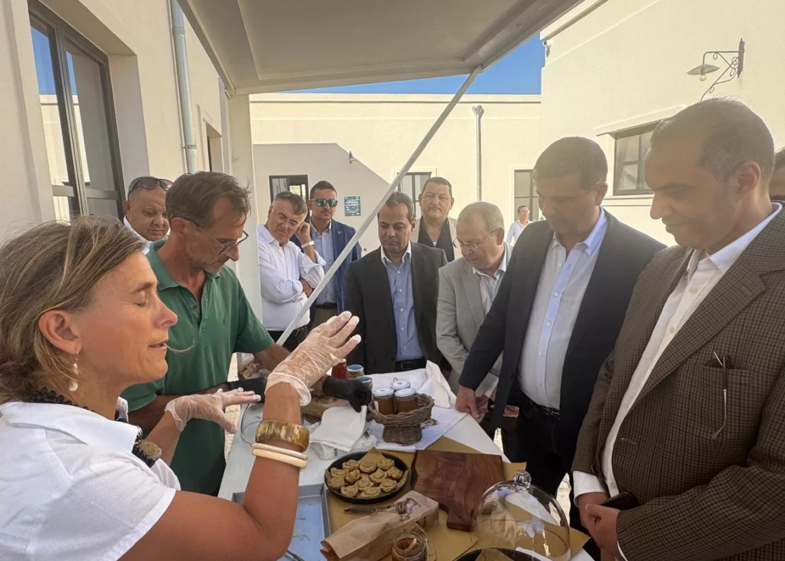 وزيرا الزراعة والشؤون النيابية يتفقدان أحد النماذج التعاونية المنتجة بجنوب ايطاليا 18 - جريدة المساء