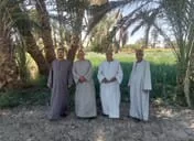 قرى قنا تنجو من "دخان الحقول": مشروع بيئي يحول المخلفات إلى سماد عضوي 89 - جريدة المساء