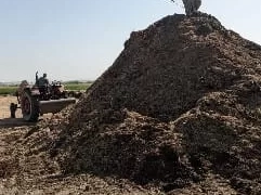 قرى قنا تنجو من "دخان الحقول": مشروع بيئي يحول المخلفات إلى سماد عضوي 2 - جريدة المساء قرى قنا تنجو من "دخان الحقول": مشروع بيئي يحول المخلفات إلى سماد عضوي 1 - جريدة المساء