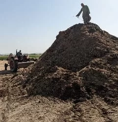 قرى قنا تنجو من "دخان الحقول": مشروع بيئي يحول المخلفات إلى سماد عضوي 19 - جريدة المساء