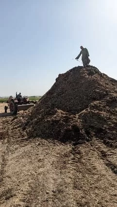 قرى قنا تنجو من "دخان الحقول": مشروع بيئي يحول المخلفات إلى سماد عضوي 20 - جريدة المساء قرى قنا تنجو من "دخان الحقول": مشروع بيئي يحول المخلفات إلى سماد عضوي 19 - جريدة المساء