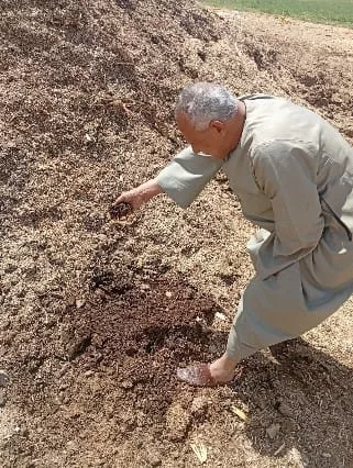 قرى قنا تنجو من "دخان الحقول": مشروع بيئي يحول المخلفات إلى سماد عضوي 53 - جريدة المساء