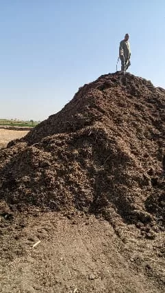 قرى قنا تنجو من "دخان الحقول": مشروع بيئي يحول المخلفات إلى سماد عضوي 45 - جريدة المساء