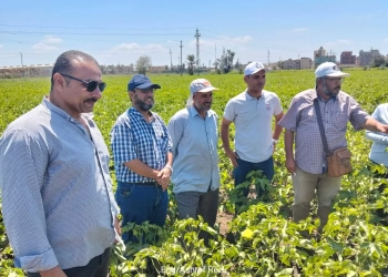 "المركزية للإرشاد الزراعي" تشرف على تنفيذ 1800 ندوة ارشادية وتوعوية للمزارعين 25 - جريدة المساء