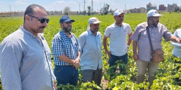 "المركزية للإرشاد الزراعي" تشرف على تنفيذ 1800 ندوة ارشادية وتوعوية للمزارعين 2 - جريدة المساء "المركزية للإرشاد الزراعي" تشرف على تنفيذ 1800 ندوة ارشادية وتوعوية للمزارعين 1 - جريدة المساء