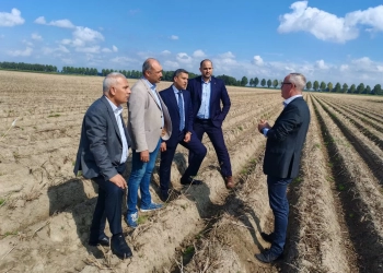 وفد مصري يختتم زيارته لهولندا لتعزيز إنتاج وتصدير تقاوي البطاطس 19 - جريدة المساء