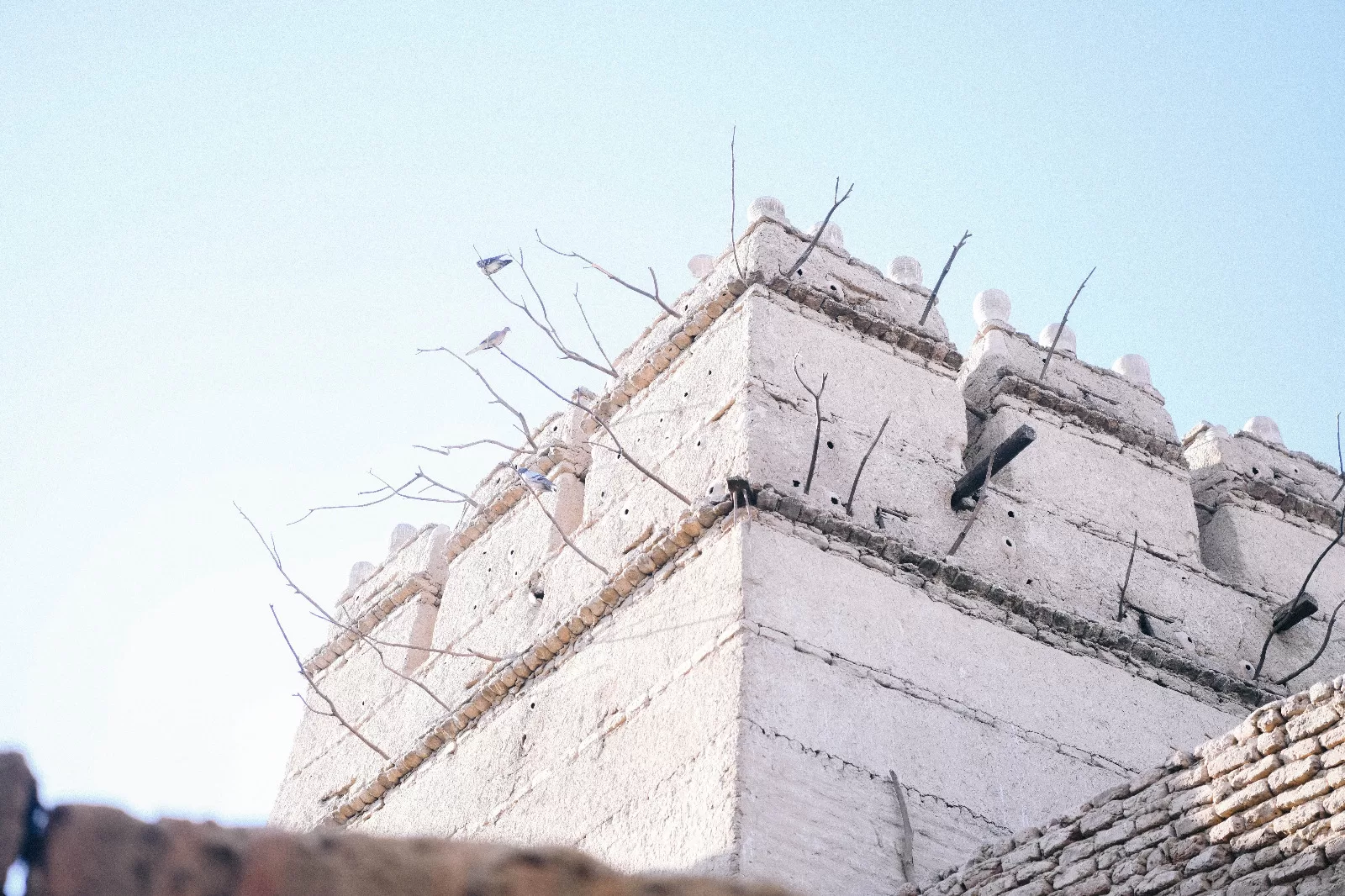 خطة شاملة لتحويل دندرة إلى وجهة سياحية عالمية 87 - جريدة المساء