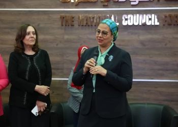 المجلس القومي يناقش العنف الإلكتروني والأمن السيبراني 19 - جريدة المساء