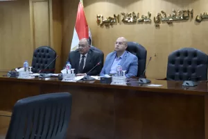 وفقاً لقانون 164.. نائب محافظ الجيزة يتابع أعمال اللجنة الخاصة بحصر وتصنيف المناطق السكنية 21 - جريدة المساء