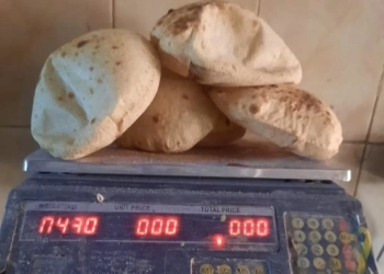 تحرير 110 مخالفات للمخابز بالقليوبية ..وضبط لحوم وسلع منتهية الصلاحية 17 - جريدة المساء