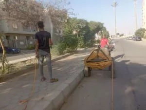 زهور وشبكة ري حديثة بدلتـا المنطقة التاسعة بالشروق بعد التطوير 25 - جريدة المساء