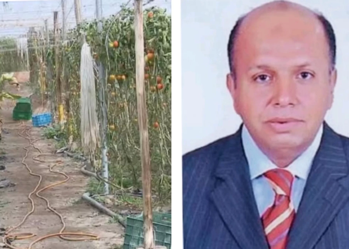 د.خالد سالم يرصد أهم أسباب تفوق إسبانيا في الزراعات الحديثة 19 - جريدة المساء