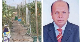 د.خالد سالم يرصد أهم أسباب تفوق إسبانيا في الزراعات الحديثة 1 - جريدة المساء