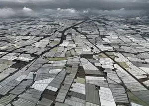 د.خالد سالم يرصد أهم أسباب تفوق إسبانيا في الزراعات الحديثة 21 - جريدة المساء