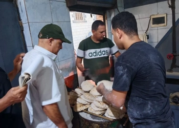 تحرير 18 محضر مخالفة تموينية بقرية الرياح والقنطرة غرب 15 - جريدة المساء