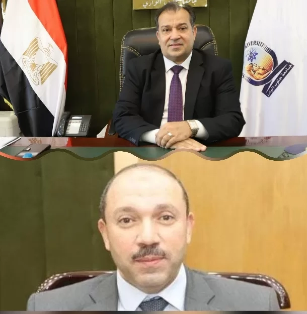 جامعة جنوب الوادي تشارك في المؤتمر الأوروبي للتعليم الدولي بالسويد 19 - جريدة المساء
