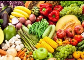 وزير الزراعة يعلن تجاوز الصادرات الزراعية المصرية 7.2 مليون طن حتى الآن.. 16 - جريدة المساء