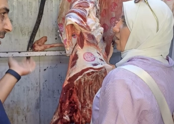 حملة رقابية بالشروق تضبط أكثر من ربع طن لحوم ودواجن فاسدة بمطعم شهير 15 - جريدة المساء