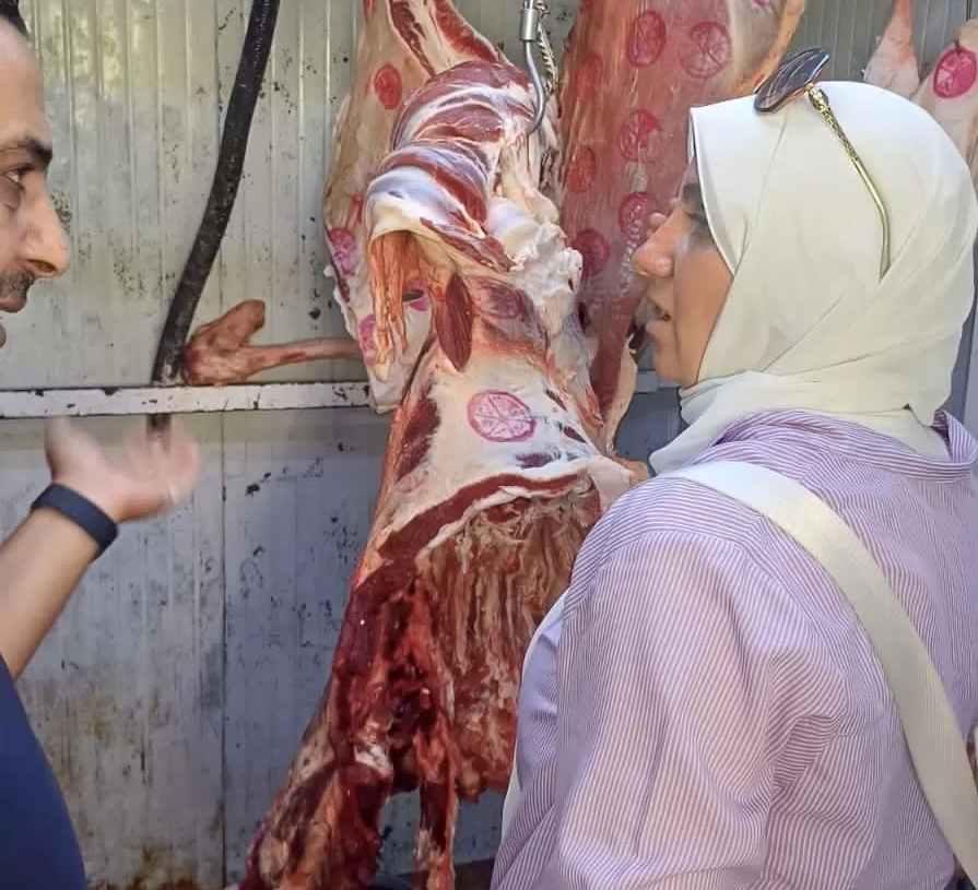 حملة رقابية بالشروق تضبط أكثر من ربع طن لحوم ودواجن فاسدة بمطعم شهير 18 - جريدة المساء