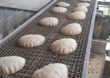 محافظ كفرالشيخ يؤكد تحرير 105 محضراً متنوعاً وضبط سلع منتهية الصلاحية 32 - جريدة المساء