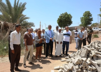 محافظ أسوان يتفقد مشروع الصرف الصحى بغرب سهيل بتكلفة 350 مليون جنيه 17 - جريدة المساء