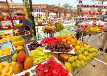 مهرجانات الفواكة تجذب سياح الغردقة 25 - جريدة المساء