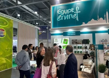 وزير الاستثمار، المعارض الخارجية ، دعم الدولة ،