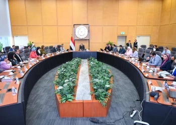 "قادرون باختلاف" يرسم خريطة طريق لتوحيد الجهود المؤسسية لخدمة ذوي الإعاقة 20 - جريدة المساء