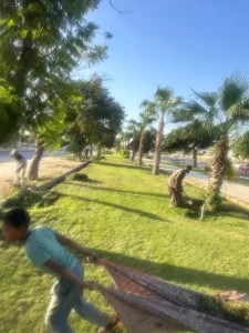 الشروق تواصل استكمال “سكن مصر” وتطوير الطريق الغربي بالزراعات 27 - جريدة المساء