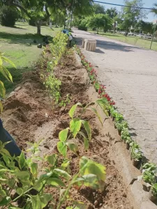 رئيس جهاز الشروق يتابع مشروعات التطوير ورفع الكفاءة بنسبة إنجاز 85% 23 - جريدة المساء رئيس جهاز الشروق يتابع مشروعات التطوير ورفع الكفاءة بنسبة إنجاز 85% 22 - جريدة المساء