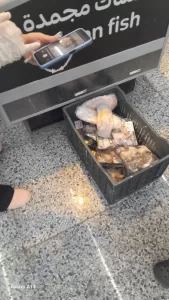 بالأرقام.. جهاز الشروق يضبط لحوماً وأسماكاً فاسدة قبل بيعها للمواطنين 28 - جريدة المساء بالأرقام.. جهاز الشروق يضبط لحوماً وأسماكاً فاسدة قبل بيعها للمواطنين 27 - جريدة المساء