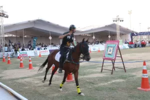 محافظ الشرقية يفتتح مهرجان الخيول العربية الأصيلة في دورته الـ 29ـ 34 - جريدة المساء محافظ الشرقية يفتتح مهرجان الخيول العربية الأصيلة في دورته الـ 29ـ 33 - جريدة المساء