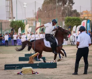 محافظ الشرقية يفتتح مهرجان الخيول العربية الأصيلة في دورته الـ 29ـ 30 - جريدة المساء محافظ الشرقية يفتتح مهرجان الخيول العربية الأصيلة في دورته الـ 29ـ 29 - جريدة المساء
