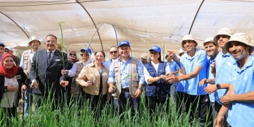 تمكين اقتصادي ودعم للأسر الريفية بالمنيا 1 - جريدة المساء