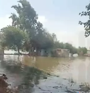 المنوفية بين غضب النيل وصمود الأهالي ارتفاع منسوب المياه يغمر منازل وأراضي طرح النهر.. وتحذيرات رسمية بالإخلاء الفوري 32 - جريدة المساء المنوفية بين غضب النيل وصمود الأهالي ارتفاع منسوب المياه يغمر منازل وأراضي طرح النهر.. وتحذيرات رسمية بالإخلاء الفوري 31 - جريدة المساء
