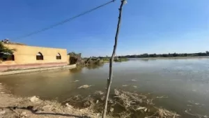 المنوفية بين غضب النيل وصمود الأهالي ارتفاع منسوب المياه يغمر منازل وأراضي طرح النهر.. وتحذيرات رسمية بالإخلاء الفوري 18 - جريدة المساء المنوفية بين غضب النيل وصمود الأهالي ارتفاع منسوب المياه يغمر منازل وأراضي طرح النهر.. وتحذيرات رسمية بالإخلاء الفوري 17 - جريدة المساء