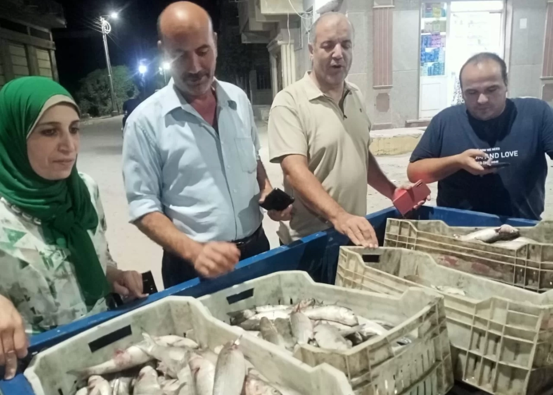 ضبط 400 كيلو أسماك غير صالحة للاستهلاك الآدمي بمركز مطوبس 19 - جريدة المساء