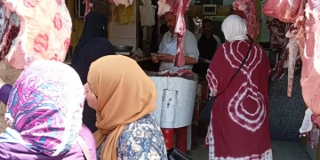 ضبط 1150 كيلو لحوم وكبدة بمنية النصر ودكرنس 1 - جريدة المساء