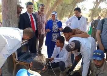 "الزراعة" تكثّف جهود الرعاية التناسلية والتحسين الوراثي للماشية خلال سبتمبر 23 - جريدة المساء