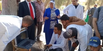 "الزراعة" تكثّف جهود الرعاية التناسلية والتحسين الوراثي للماشية خلال سبتمبر 1 - جريدة المساء